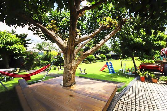 ガーデン ライフ ホームステイ B&B Xinshe エクステリア 写真