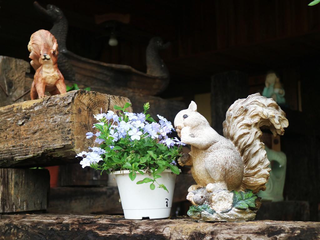ガーデン ライフ ホームステイ B&B Xinshe エクステリア 写真